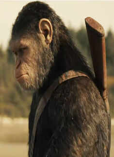 War For The Planet Of The Apes