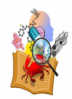 Cancer Treatment: Illustration & Sketches