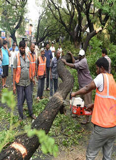 Storm-battered Chennai limps back to normalcy