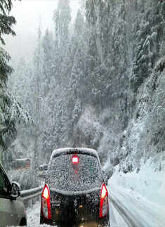 In pics: Shimla celebrates White Christmas after 24 years