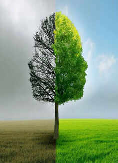 Bipolar Disorder: A silent killer