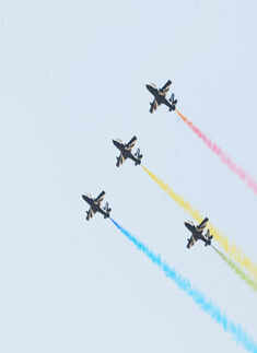 'India Aviation 2010'