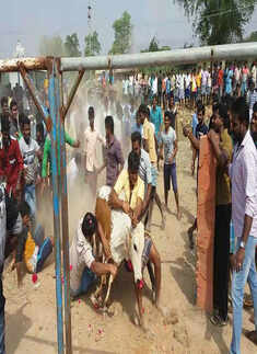 Despite SC ban, jallikattu conducted all over Tamil Nadu