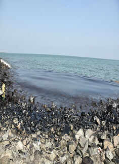Massive cleaning operations after Chennai oil spill