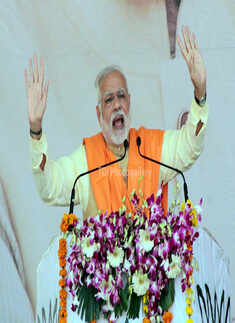 Photo story: Narendra Modi's gestures at election rallies