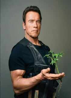 Arnold Schwarzenegger: 'Terminator' continues