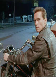 Arnold Schwarzenegger: 'Terminator' continues
