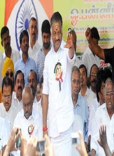 Panneerselvam Photos