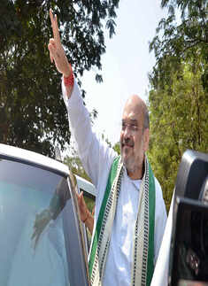 Top BJP leaders to campaign ahead of MCD polls