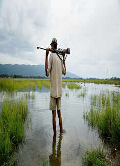 A forest official looks