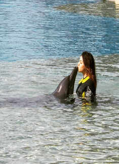 Aalia Furniturewalla