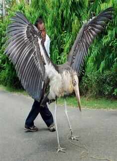 Best pictures of the day