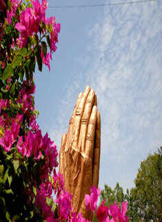 Best pictures of the day