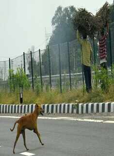 From Agra to Lucknow on the Expressway