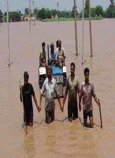 Best pictures of July 8