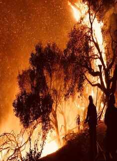 Destructive wildfire leaves California in flames
