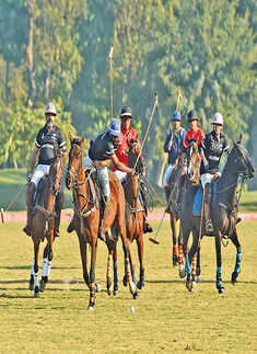 Socialites attend polo match