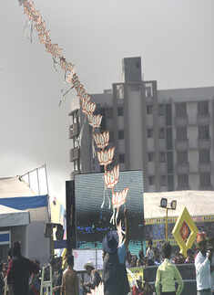 International kite festival