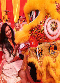 Hsuan Tsang Monastery's 50th anniversary