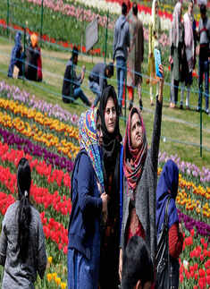 Tulip Garden in Srinagar thrown open for visitors