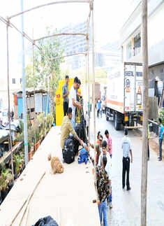 Sonam Kapoor and Anand Ahuja