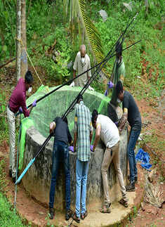 Nipah virus: Death toll rises to 10 in Kerala
