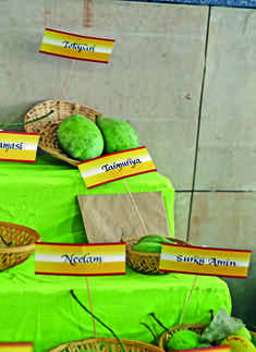 Delhi Tourism's annual mango festival 2018