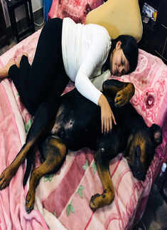 Funny pictures of adorable but cheeky pets who stole their owner&rsquo;s place