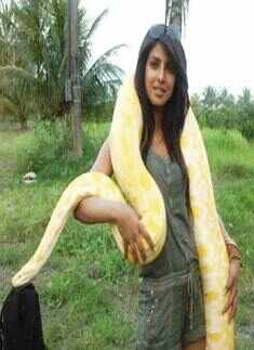 Priyanka on 'Khataron Ke Khiladi'