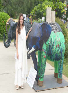 Dia Mirza participates in the Gaj Mahotsav