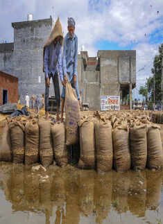 Rains continue to lash Punjab, govt issues red alert