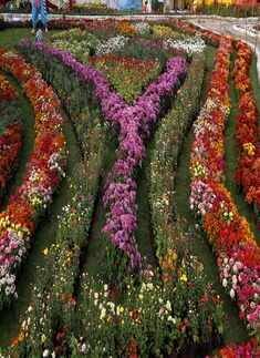 Navratri 2018: Nine-day festival begins with great fervour