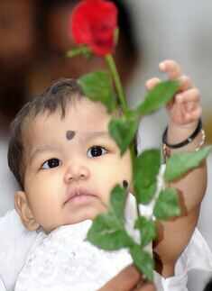 Rose Day Celebrations