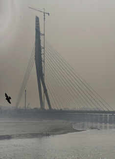 Delhi&rsquo;s iconic Signature Bridge opens for public