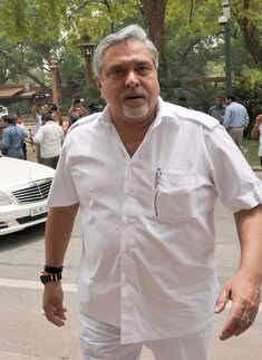 Mallya offers to repay 100 per cent of 'public money'