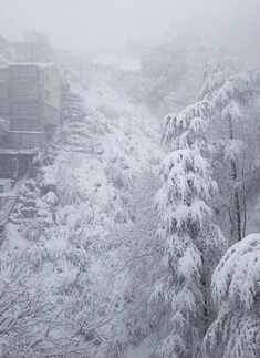 Shimla gets heaviest snowfall of the season