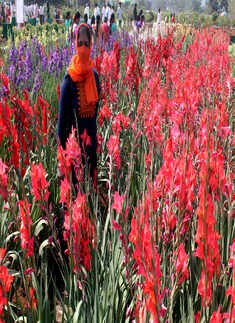 National Horticulture Fair 2019 kick-starts in Bengaluru