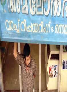 Lonappante Mammodisa