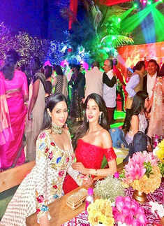 Janhvi Kapoor and Sridevi&rsquo;s pictures