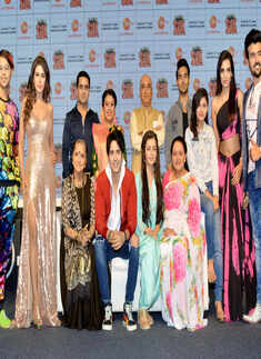 Hamari Bahu Silk: Launch
