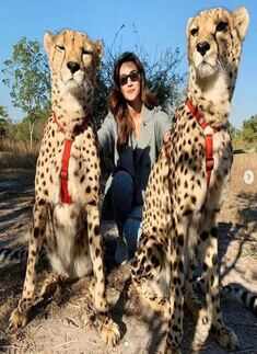 Kriti Sanon showcases her fearless side as she plays with cheetahs in Zambia