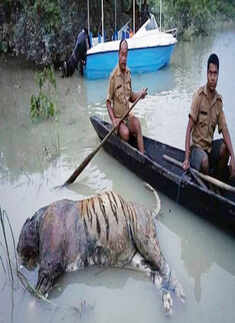 Assam flood situation turns worse; several killed, 43 lakh people affected