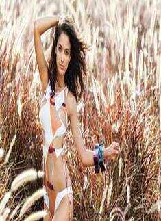 Kingfisher Calendar 2011