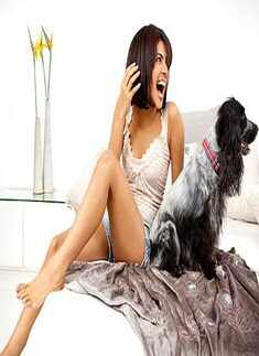 B'wood bigwigs on TV in 2010