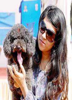 Dog Show at Hebbal