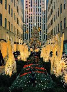 Stunning Christmas trees