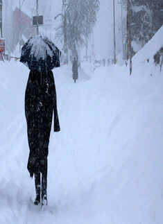 In pics: Kashmir Valley turns fairyland after fresh snowfall