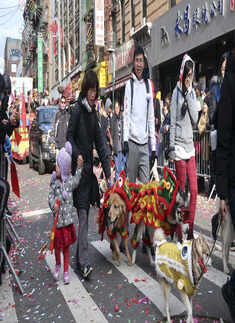 NYC Lunar New Year parade showcases support for China