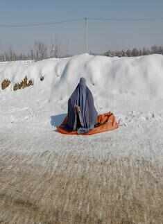 Irresistible pictures from winter wonderlands around the world