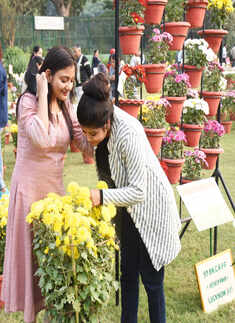 Lucknowites bask into annual flower exhibition